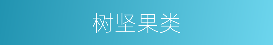 树坚果类的同义词
