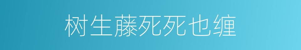 树生藤死死也缠的同义词