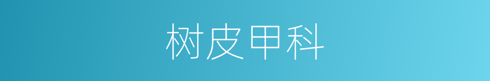 树皮甲科的同义词