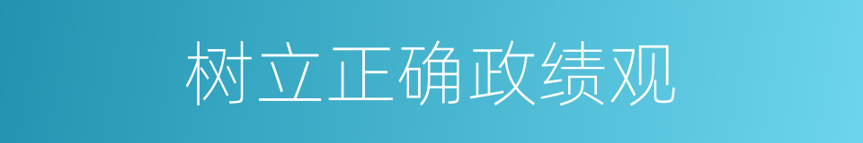 树立正确政绩观的同义词