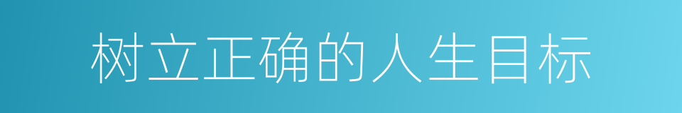 树立正确的人生目标的同义词