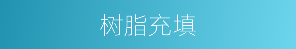 树脂充填的意思