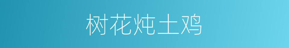树花炖土鸡的同义词