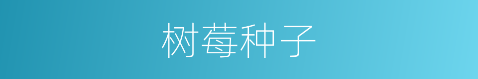 树莓种子的同义词