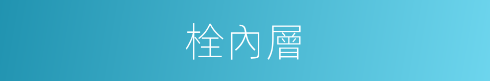 栓內層的同義詞