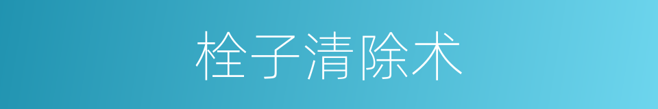 栓子清除术的同义词