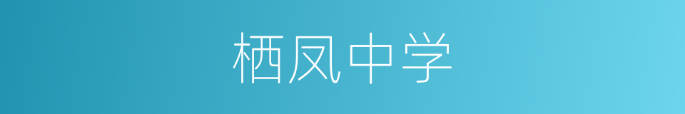 栖凤中学的同义词
