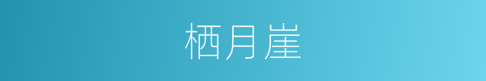 栖月崖的同义词