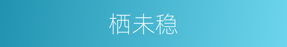 栖未稳的同义词