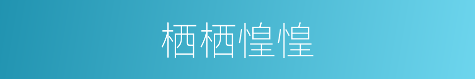 栖栖惶惶的意思