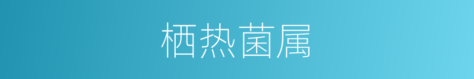 栖热菌属的同义词