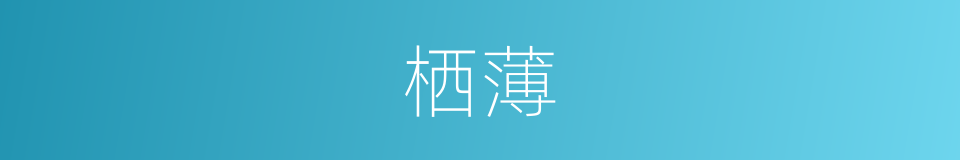 栖薄的同义词