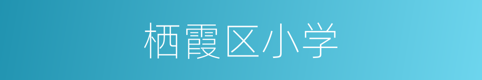 栖霞区小学的同义词