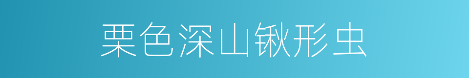 栗色深山锹形虫的同义词