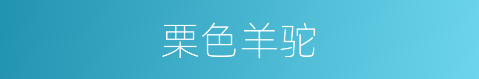 栗色羊驼的同义词