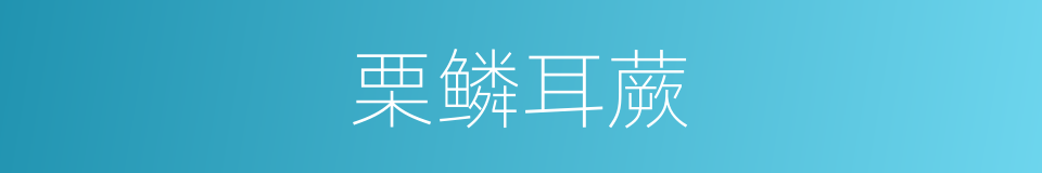 栗鳞耳蕨的同义词