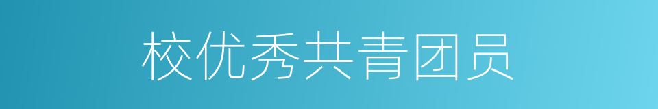 校优秀共青团员的同义词