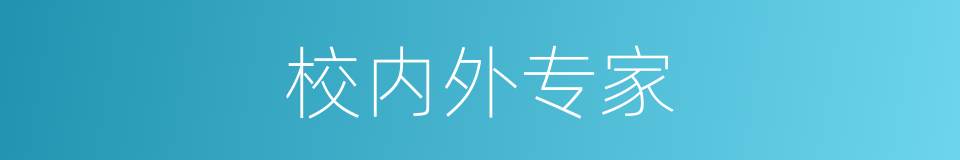 校内外专家的同义词