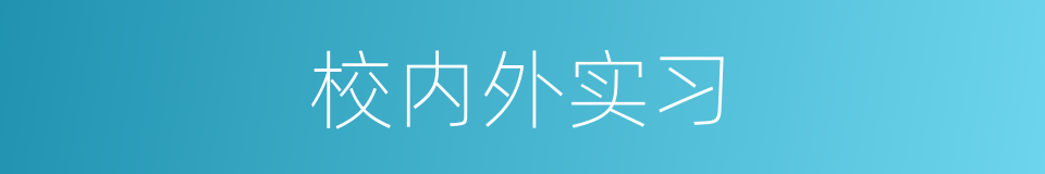 校内外实习的同义词