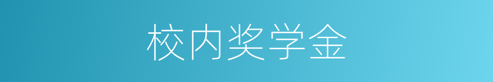 校内奖学金的同义词