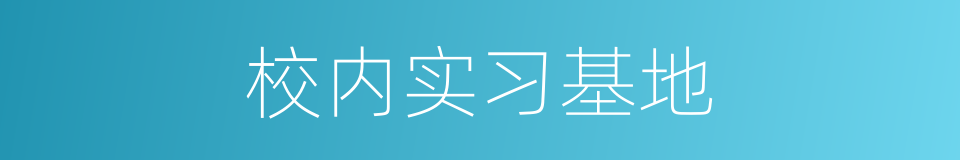 校内实习基地的同义词