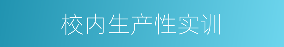 校内生产性实训的同义词