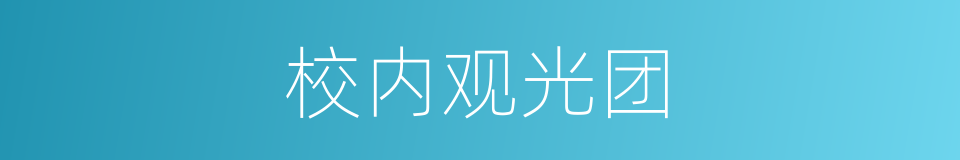 校内观光团的同义词