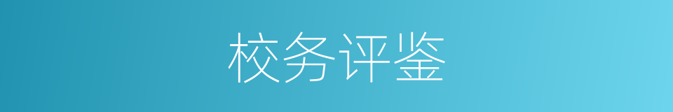 校务评鉴的同义词