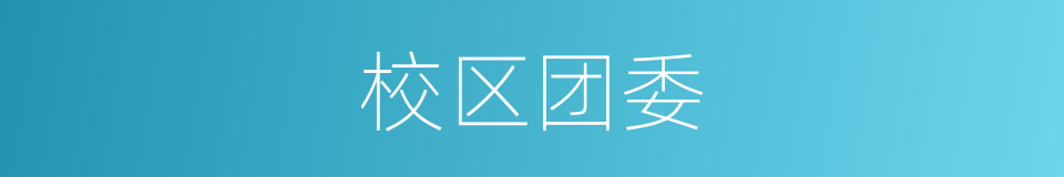 校区团委的同义词