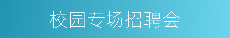 校园专场招聘会的同义词