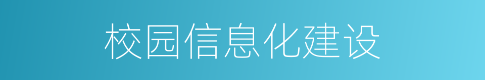 校园信息化建设的同义词