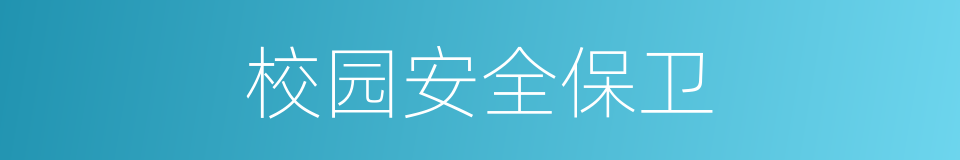 校园安全保卫的同义词