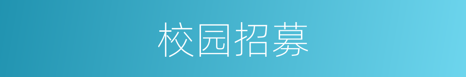 校园招募的同义词