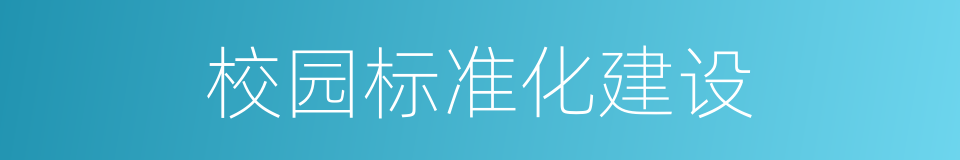 校园标准化建设的同义词