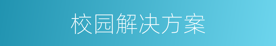 校园解决方案的同义词