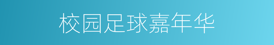 校园足球嘉年华的同义词