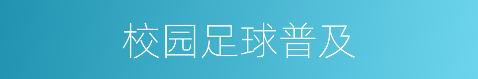 校园足球普及的同义词