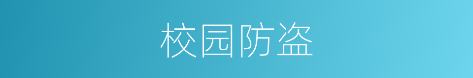 校园防盗的同义词
