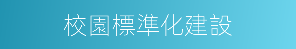 校園標準化建設的同義詞