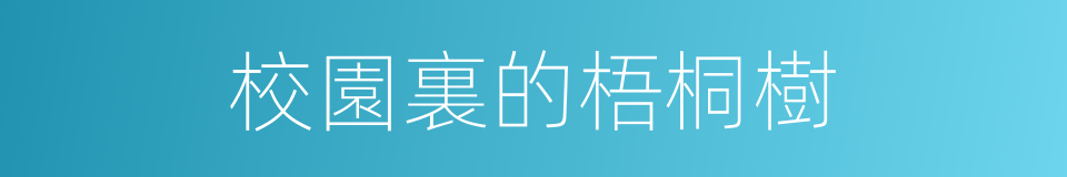 校園裏的梧桐樹的同義詞
