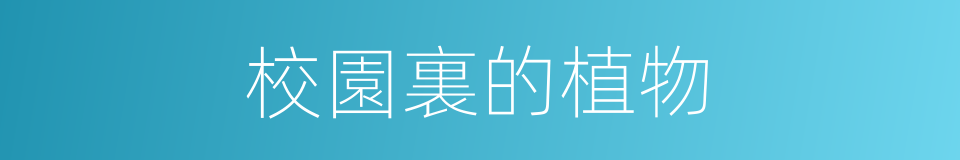 校園裏的植物的同義詞