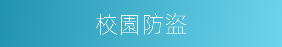 校園防盜的同義詞