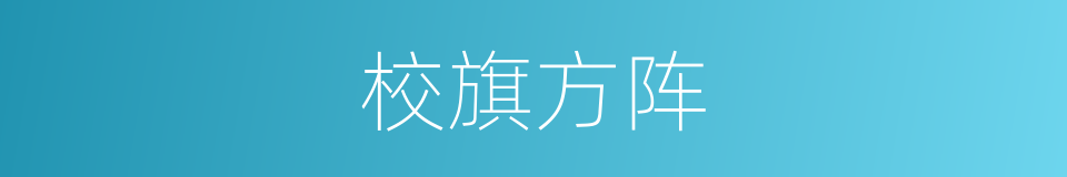 校旗方阵的同义词