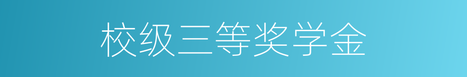 校级三等奖学金的同义词