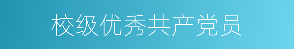 校级优秀共产党员的同义词