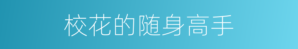 校花的随身高手的同义词