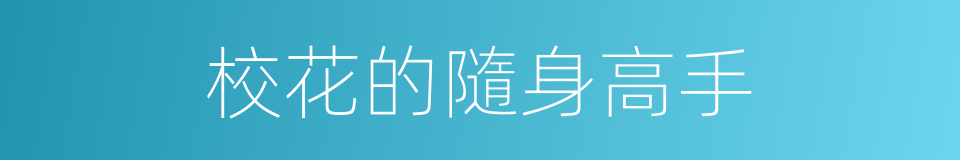 校花的隨身高手的同義詞