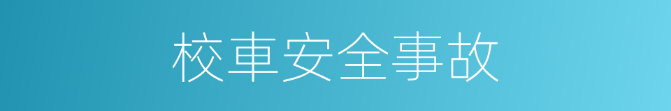 校車安全事故的同義詞