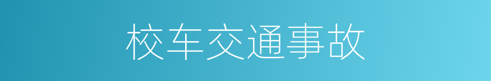 校车交通事故的同义词