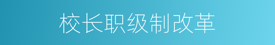 校长职级制改革的同义词